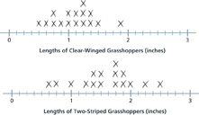 Two line plots. The first line plot shows the lengths of 16 clear-winged grasshoppers. The second line plot shows the lengths of 16 two-striped grasshoppers.