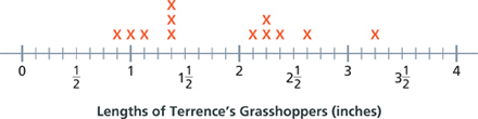 A line plot shows the lengths of Terrence's 13 grasshoppers.