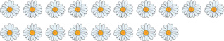 A group of daisies: flower, flower, flower, flower, flower, flower, flower, flower, flower, flower, flower, flower, flower, flower, flower, flower, flower, flower.