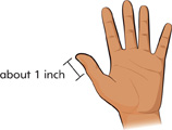 A hand with a measuring line marking from the knuckle to the tip of the thumb. The line is labeled “about 1 inch.”