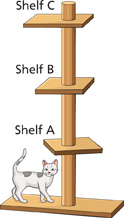 A cat climbing tower with 3 shelves. Shelf A is the bottom shelf, Shelf B is the middle shelf, and Shelf C is the top shelf.