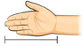 Hay una mano con una línea para medir desde la punta del dedo hasta la muñeca.