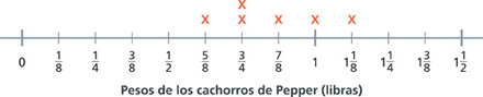 Hay una recta numérica que muestra los pesos de los cachorros de Pepper en libras.