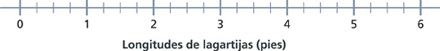 Hay una recta numérica titulada “Longitudes de lagartijas” y muestra los números del 0 al 6.