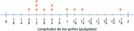 Hay una recta numérica que muestra las longitudes de los grillos en pulgadas del 0 al 2 en incrementos de un octavo de pulgada. Se usa una X para cada grillo.