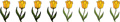 A group of tulips: tulip, tulip, tulip, tulip, tulip, tulip, tulip, tulip.