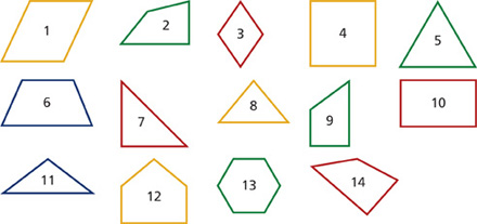 A group of 14 numbered shapes.