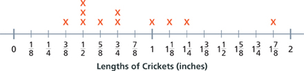 A number line shows Lengths of Crickets in inches from 0 to 2 in eighth-inch increments. An X indicates each cricket.