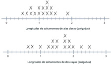 Hay dos diagramas de puntos. El primer diagrama de puntos muestra las longitudes de 16 saltamontes de alas claras. El segundo diagrama de puntos muestra las longitudes de 16 saltamontes de dos rayas.