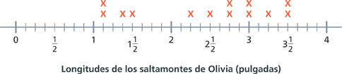 Un diagrama de puntos muestra las longitudes de los 13 saltamontes de Olivia.
