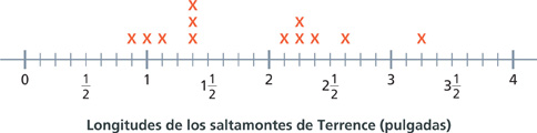 Un diagrama de puntos muestra las longitudes de los 13 saltamontes de Terrence.