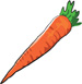 A carrot.