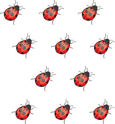 A set of ladybugs: ladybug, ladybug, ladybug, ladybug, ladybug, ladybug, ladybug, ladybug, ladybug, ladybug, ladybug.