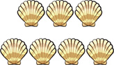 A group of shells: shell, shell, shell, shell, shell, shell, shell.