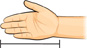 A hand with a measuring line from the tip of the finger to the wrist.