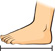 A foot with a measuring line from the tip of the toe to the heel.