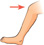 An arrow points to the knee on a leg.